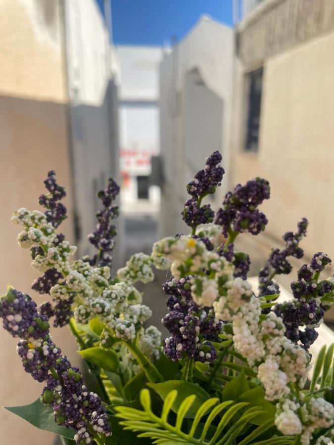Portara Gem Apartments Naxos City Εξωτερικό φωτογραφία